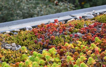 the cost of Lower Rainham green roof installation
