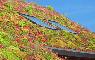 Lower Rainham living roof systems